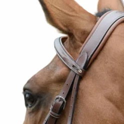 Horseball|Cso*Jump'In - Bridon One London avec rênes Noisette