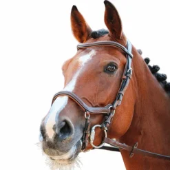 Online - Bridon One New York avec rênes Cso|Bridons