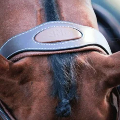 Online - Bridon One New York avec rênes Cso|Bridons