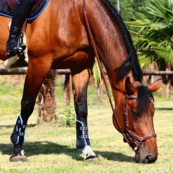 Online - Bridon One New York avec rênes Cso|Bridons