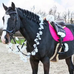 Cso|Bridons*Jump'In - Bridon One New York avec rênes Noir