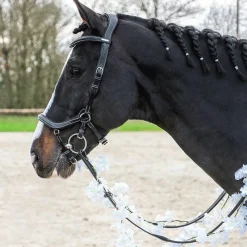 Cso|Bridons*Jump'In - Bridon One New York avec rênes Noir