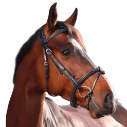 - Bridon One Paris avec rênes Horseball|Bridons