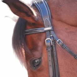 - Bridon One Paris avec rênes Horseball|Bridons