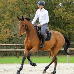 Horseball|Cso*Jump'In - Bridon One Paris avec rênes Noisette