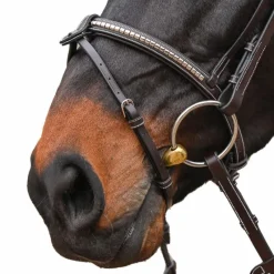 Bridons*Jump'In - Bridon One Premium Clincher Noisette