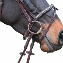 Bridons*Jump'In - Bridon One Premium Clincher Havane