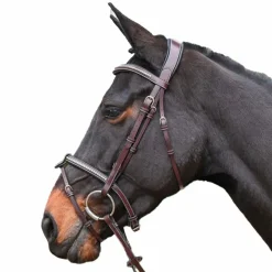 Bridons*Jump'In - Bridon One Premium Clincher Havane