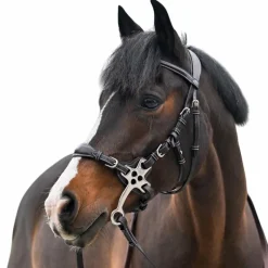 Bridons*Jump'In - Bridon One Premium Hackamore Havane
