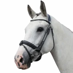 Discount - Bridon Week Friday avec rênes Bridons|Cso