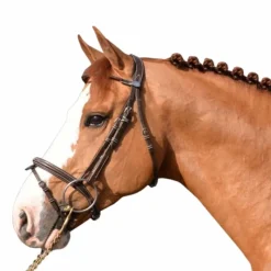 Cso|Bridons*Jump'In - Bridon Week Monday avec rênes