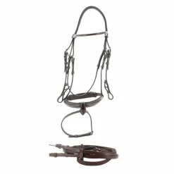 Cso|Bridons*Jump'In - Bridon Week Monday avec rênes