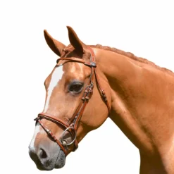 Cso|Bridons*Jump'In - Bridon Week Monday avec rênes