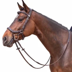 Cso|Bridons*Jump'In - Bridon Week Summer havane