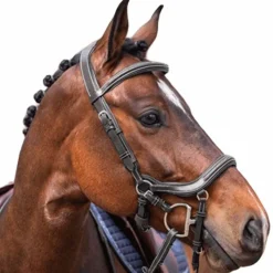 Bridons|Cso*Jump'In - Bridon week Summer noir