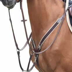 Horseball|Concours Complet D'Equitation*Jump'In - Collier de chasse élastique + martingale One Noir