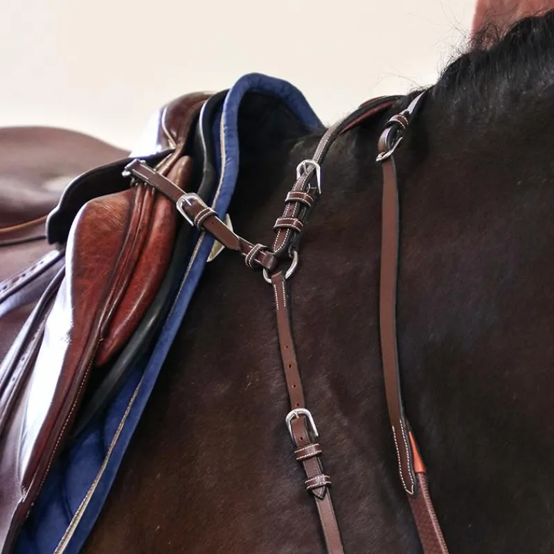 Horseball|Concours Complet D'Equitation*Jump'In - Collier de chasse 5 points + martingale One Noisette