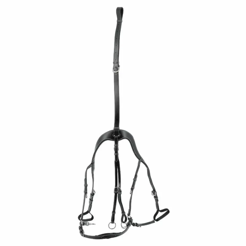 Clearance - Collier de chasse 5 points + martingale One Noir Horseball|Concours Complet D'Equitation