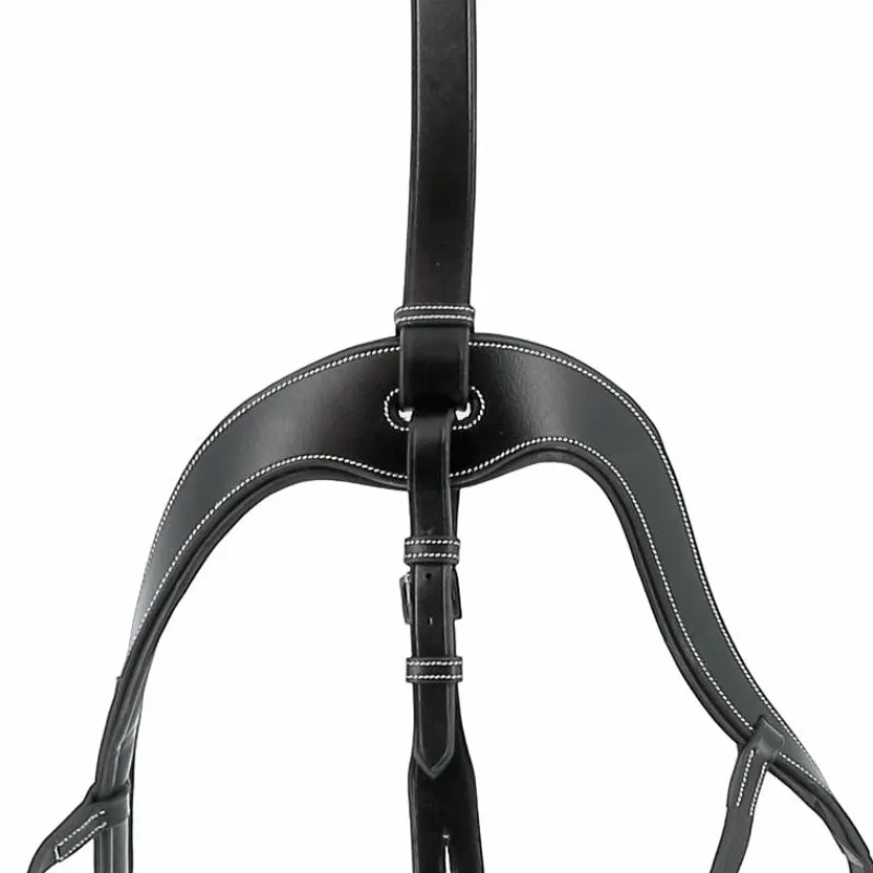 Clearance - Collier de chasse 5 points + martingale One Noir Horseball|Concours Complet D'Equitation