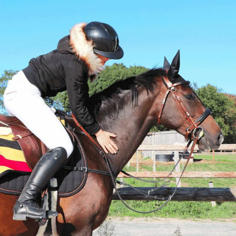 Clearance - Collier de chasse 5 points + martingale One Noir Horseball|Concours Complet D'Equitation