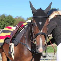 Clearance - Collier de chasse 5 points + martingale One Noir Horseball|Concours Complet D'Equitation