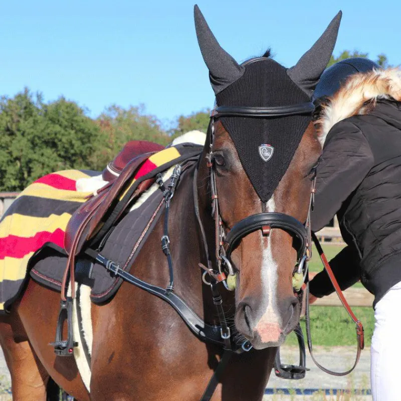 Clearance - Collier de chasse 5 points + martingale One Noir Horseball|Concours Complet D'Equitation