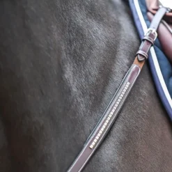 Sale - Collier de chasse et fourche de martingale Premium Clincher havane Colliers De Chasse