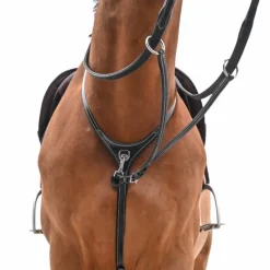 Sale - Collier et martingale One Premium havane Martingales