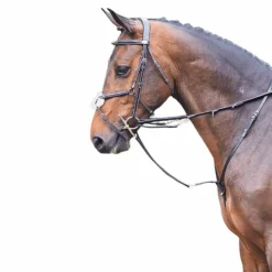 - Enrênement Howlett Week Concours Complet D'Equitation|Howlett/ Thiedeman