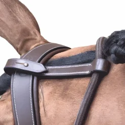 Outlet - Enrênement Patrick Gogues