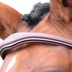 Frontaux*Jump'In - Frontal Bruxelles collection One noisette Marron