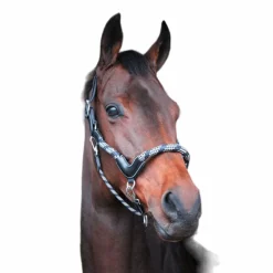 Clearance - Licol cheval One Travel Élevage|Grooming