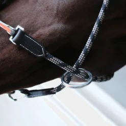 Clearance - Licol cheval One Travel Élevage|Grooming