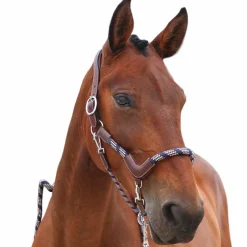 Clearance - Licol cheval One Travel noisette Élevage|Grooming