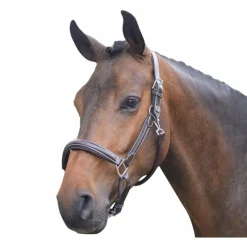 Élevage|Licols En Cuir*Jump'In - Licol cheval Wednesday havane Marron