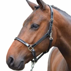 Élevage|Grooming*Jump'In - Licol cheval Week de pansage Noir