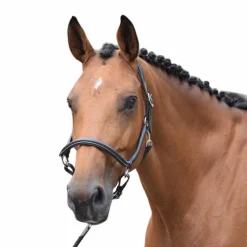 Best - Licol de pansage One Élevage|Grooming