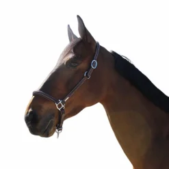 Best - Licol de pansage One Élevage|Grooming