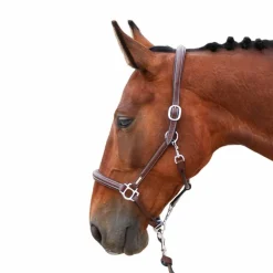 Horseball|Élevage*Jump'In - Licol de pansage One Noisette Marron