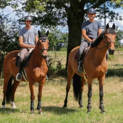 Horseball|Élevage*Jump'In - Licol Fancy One Noisette Marron