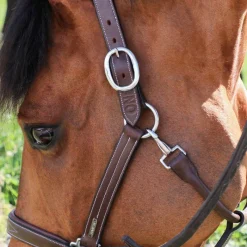 Horseball|Élevage*Jump'In - Licol Fancy One Noisette Marron