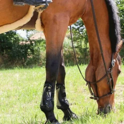 Horseball|Élevage*Jump'In - Licol Fancy One Noisette Marron