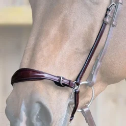 Outlet - Muserolle allemande Evolution noisette Muserolles