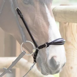 Outlet - Muserolle allemande Evolution havane Muserolles