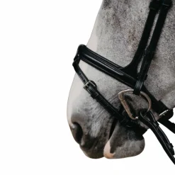 Muserolles*Jump'In - Muserolle combinée Evolution Noir