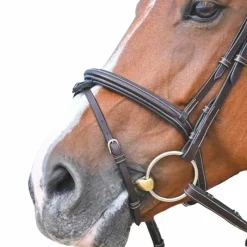 Discount - Muserolle combinée Tuesday acajou Muserolles