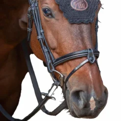 Muserolles*Jump'In - Muserolle combinée Tuesday Noir