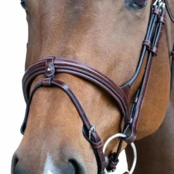 Muserolles*Jump'In - Muserolle combinée Evolution noisette Marron