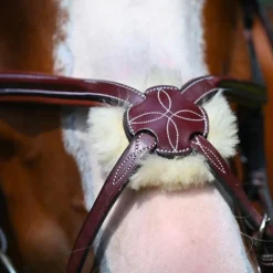 New - Muserolle croisée Tuesday acajou Muserolles