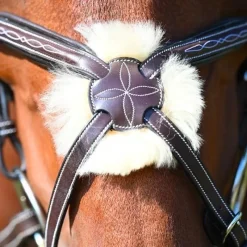 Clearance - Muserolle croisée Wednesday havane Muserolles